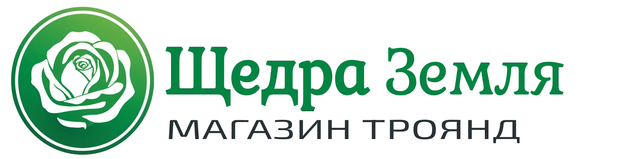 Название компании